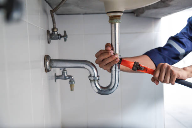 Best Clogged Drain Plumber  in Melcher Dallas, IA