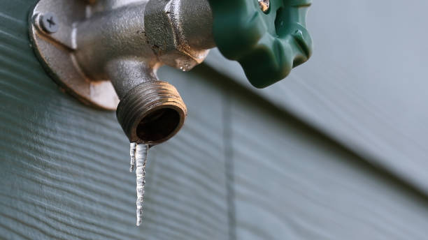 Best Residential Plumbing Services  in Melcher Dallas, IA