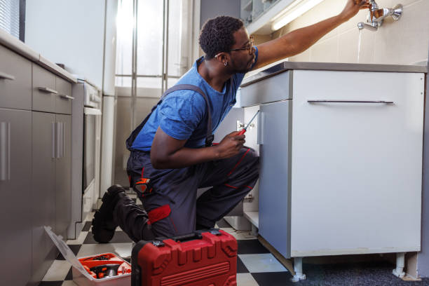 Best Local Plumber Services  in Melcher Dallas, IA